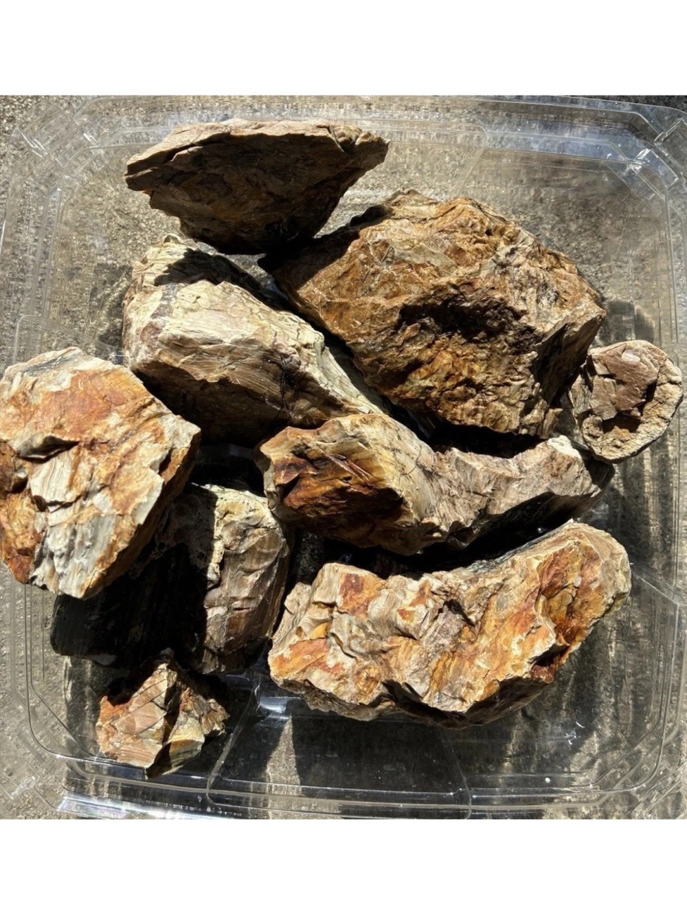 Natural Brown Reptile Decorative Rocks - Pet Terrarium Accent